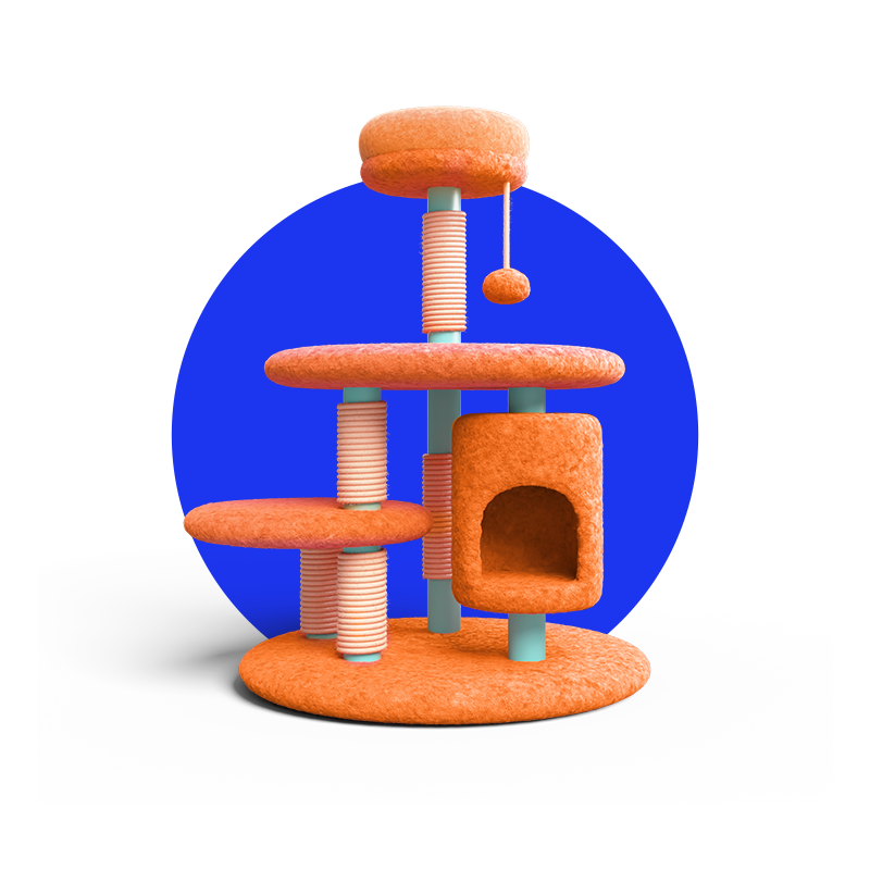 Cat Toys