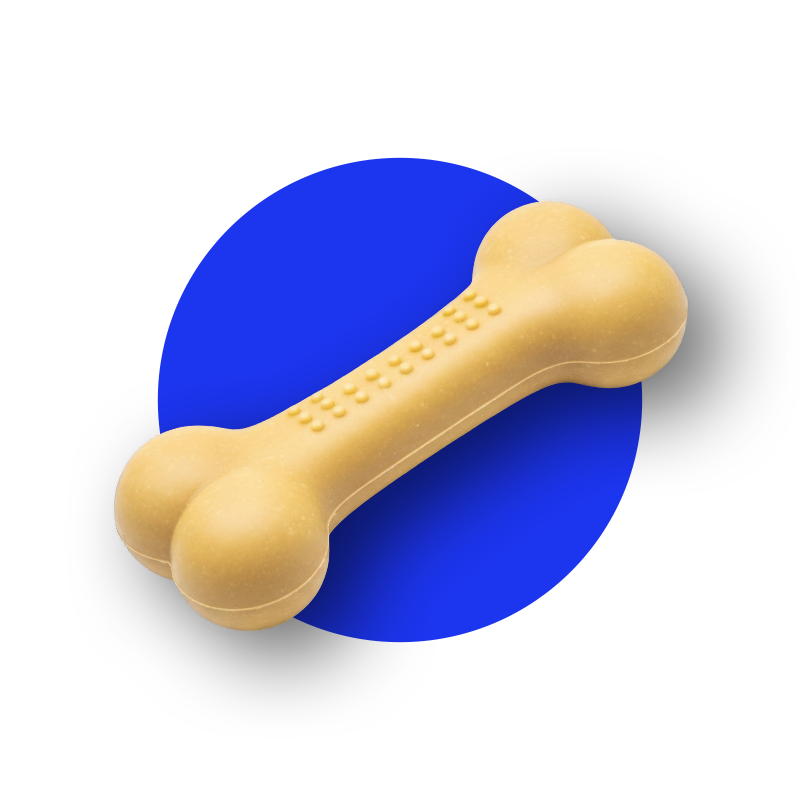 Dog Treats