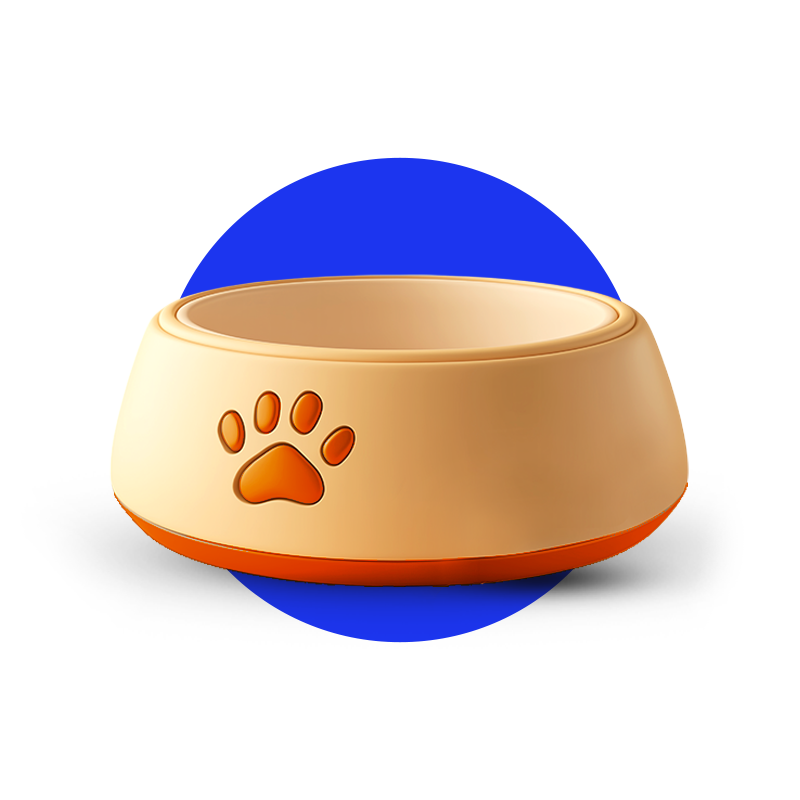 Pet Bowls