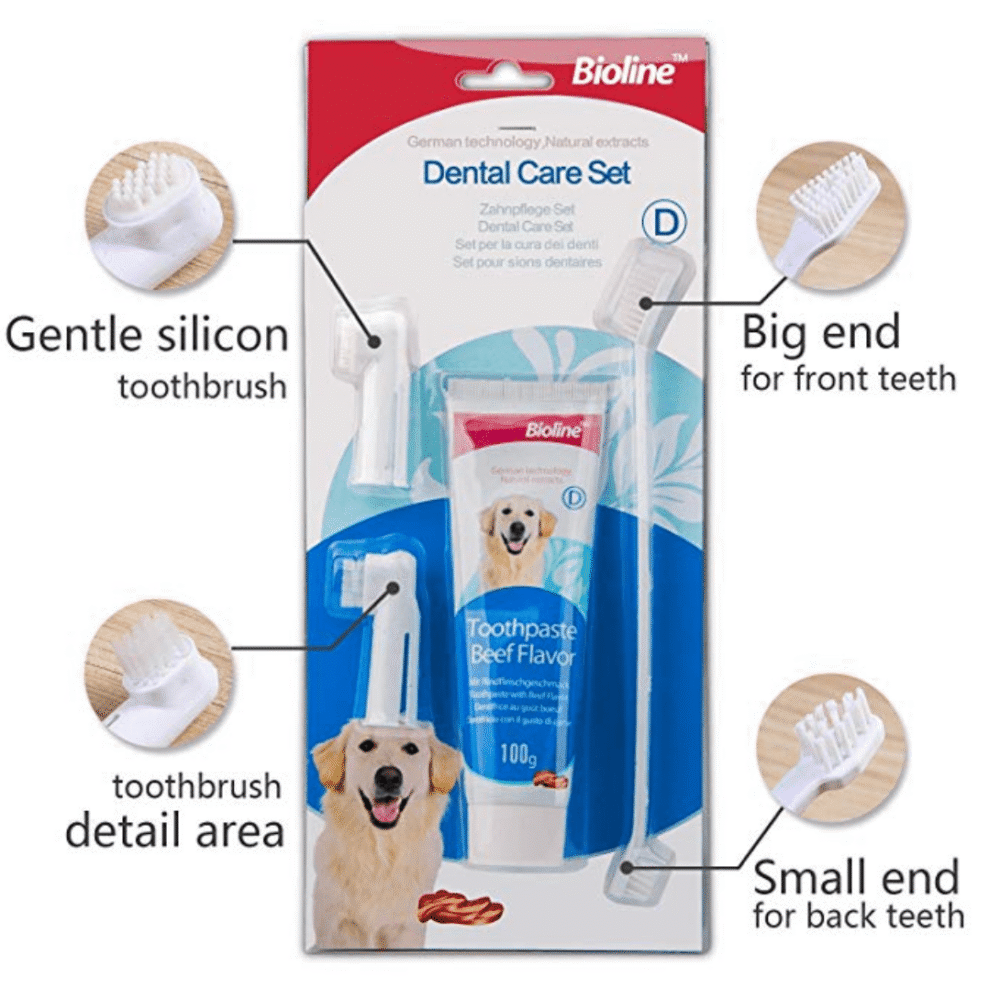 Dental Hygiene