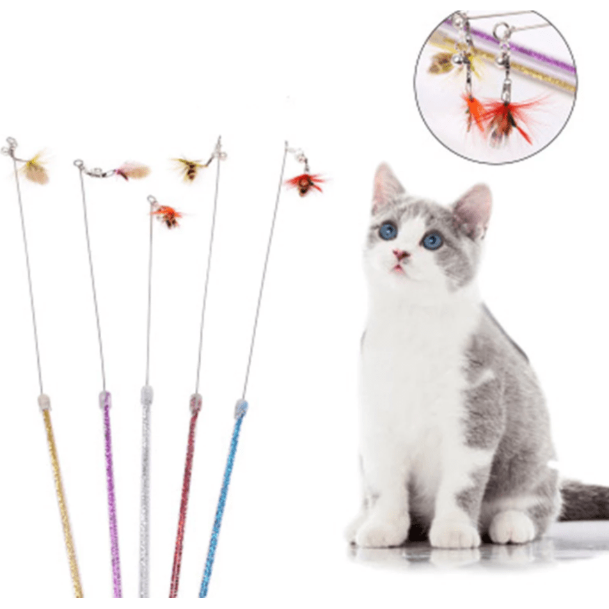 Cat Colourful Playing Stick