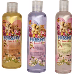 Shop Primary Image