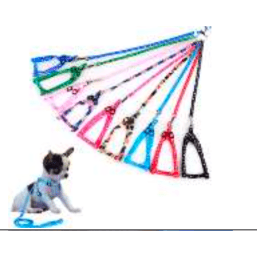Shop Primary Image