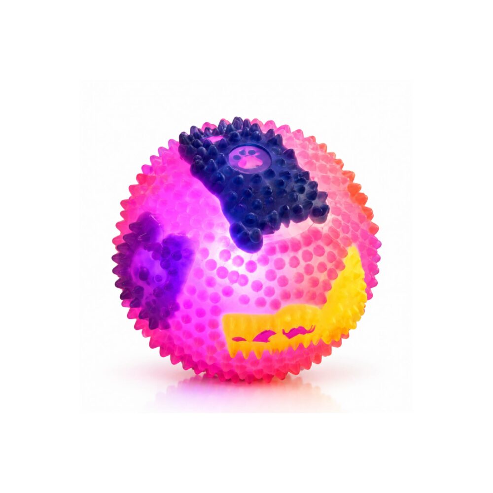Mixed Color LED Play Kitten & Puppy Ball