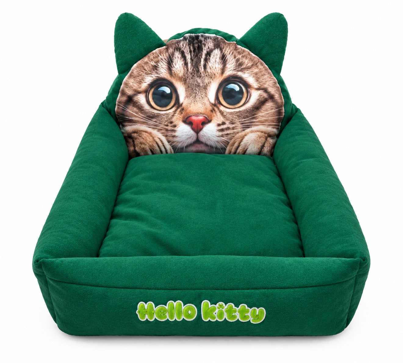 New Bed Type for Cats