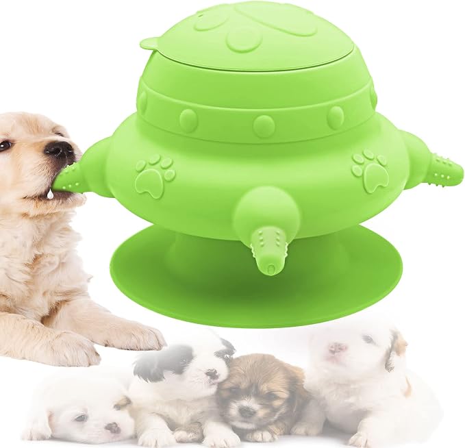 Nursing Kit for Multiple Kitten and Puppies