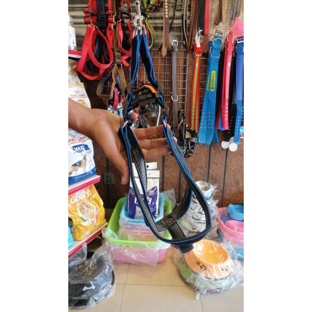 Shop Secondary Image